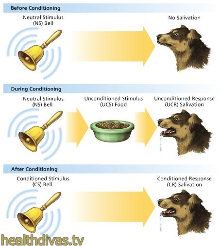 Pavlovs-Dog-Model